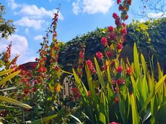 -昆明市金殿名胜区