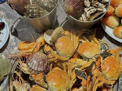 -争先鲜·蒸汽海鲜自助·鲜切牛肉