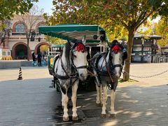 -天津五大道文化旅游区