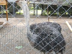 -长白岛森林公园