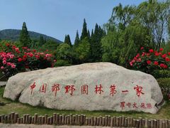 -习家池