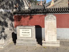 -丰台药王庙