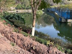 -重庆彩云湖湿地公园