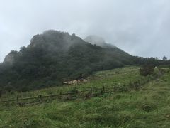 -白草畔自然风景区