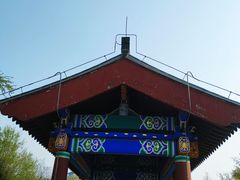 -莲花池公园