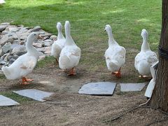 -HERRE·FARM 赫尔露营农场·团建聚会包场