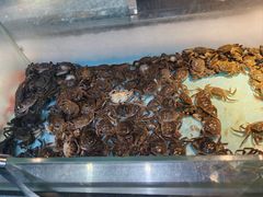 -圣罗巴海鲜烤肉自助(佳兆业店)
