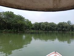 -洋湖国家湿地公园