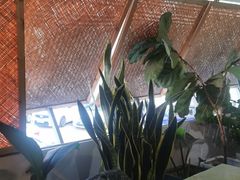 -七采菌园·石锅鱼野生菌火锅(环城北路店)