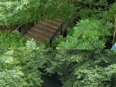 -阿哈湖国家湿地公园