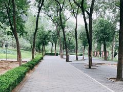 -元大都城垣遗址公园