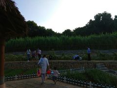 -天河儿童公园