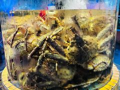 -荔城生鲜盛宴(番禺旗舰店)