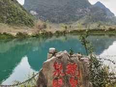 -靖西鹅泉风景区