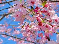 -福建鲤鱼洲酒店