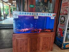 -忆江南·临江鱼馆