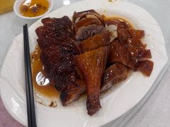 -姚林轩