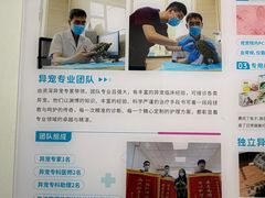 -北京观赏动物医院·24小时大型综合·猫专科·异宠专科