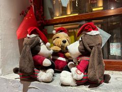 -地二手作鱼汤馄饨(上街里店)