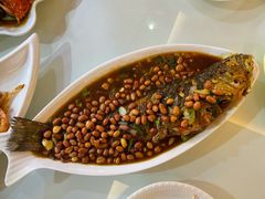 红烧海鲈-覃记海鲜美食餐厅