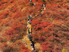 -水峪民俗村