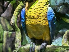 -太奥幻太奇海洋馆
