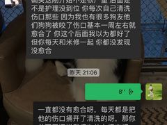 -成都民大动物医院