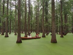 -渌洋湖湿地公园