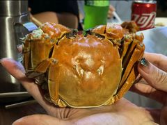 -黄记大闸蟹专卖店·活蟹·醉蟹