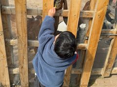 -水上乐园·欢乐世界