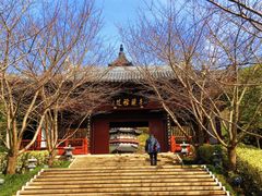 -牛首山文化旅游区