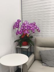 -和颜一美轻医美连锁