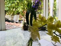 -蝶舍·MAISON PAPILLON