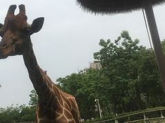-南昌动物园