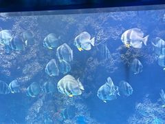 -南昌融创海世界