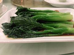 白灼广东菜心-金时代顺风大酒店(金山店)