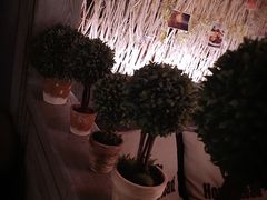 -MEET COFFEE婉约咖啡(宝善公寓店)