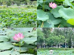 -咸阳湖景区-统一广场