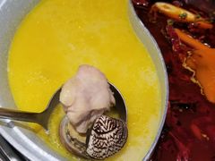 -青瓷火锅料理(西单大悦城店)