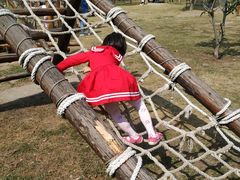 -田园东方蜜桃村的田野营地