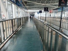 -武汉关码头(轮渡站)