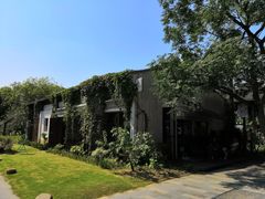 -田园东方蜜桃村的田野营地
