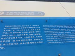 -上海浦东国际机场-T2航站楼