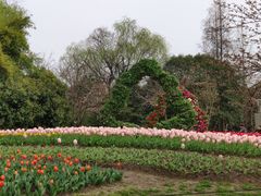 -上海植物园-4号门售票处