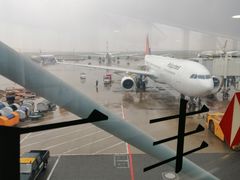 -上海浦东国际机场-T2航站楼