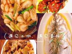 -苏州太湖湖滨国家湿地公园