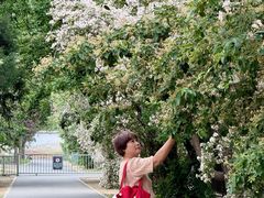 -国家植物园南园