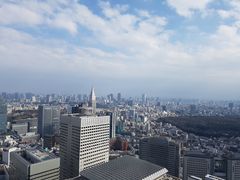 -东京都厅舍