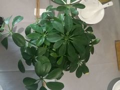 -香浙汇(望京店)