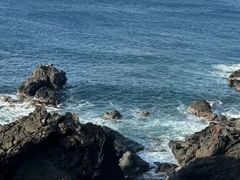-涉地可支